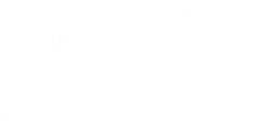 Dinastia Z